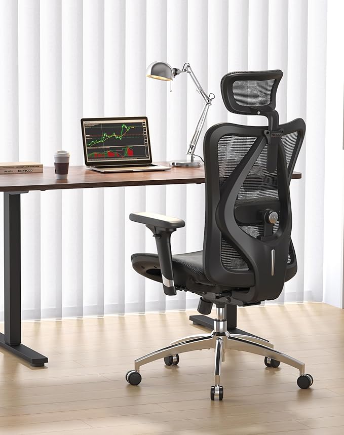2 - ERGO OFFICE & HOME CHAIRS