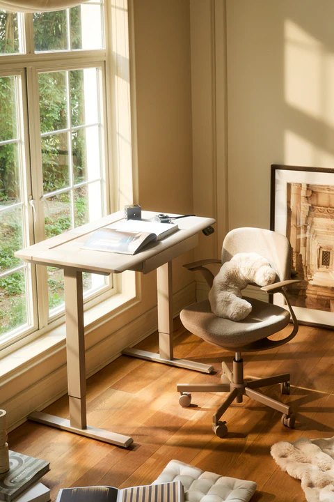 BISKIT34 - ERGO OFFICE & HOME CHAIRS