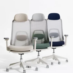 VOYA Ergonomic Chair