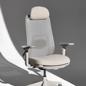 VOYA Ergonomic Chair