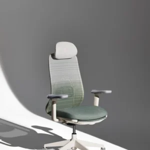 VOYA Ergonomic Chair