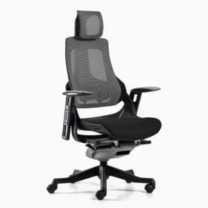 Desky Pro+ Ergonomic Chair - ERGO OFFICE & HOME CHAIRS Desky Pro+ Ergonomic Chair