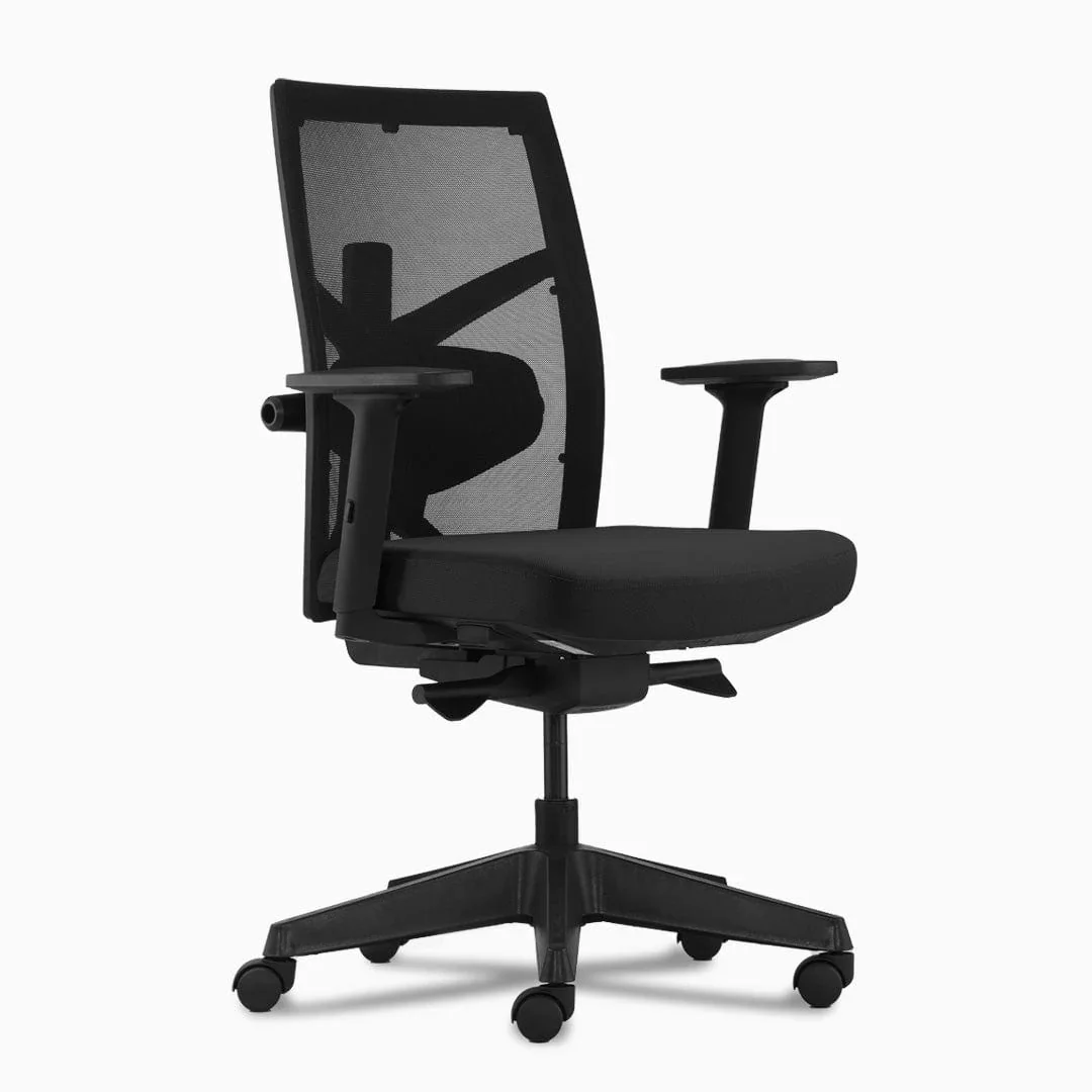 1 - ERGO OFFICE & HOME CHAIRS