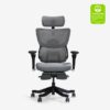 Ergonomic Chair