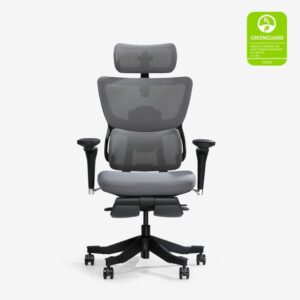 Ergonomic Chair