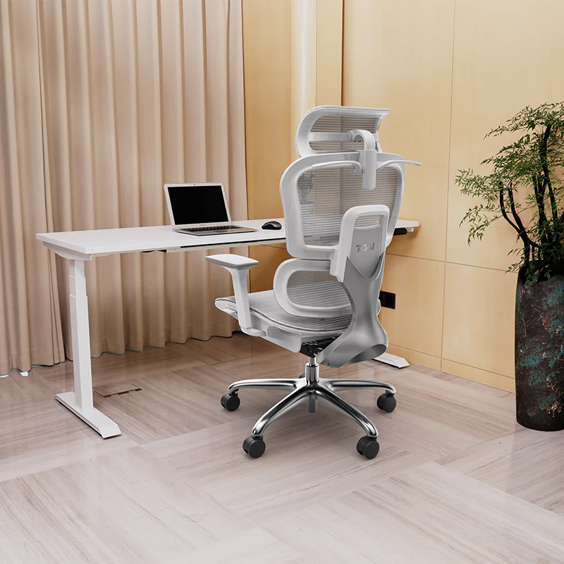 1752488736679263147476692 - ERGO OFFICE & HOME CHAIRS
