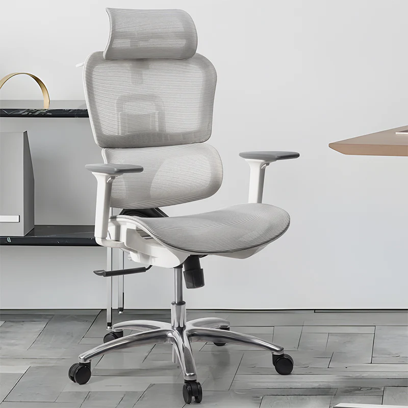2 - ERGO OFFICE & HOME CHAIRS