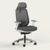 3ba47d7d-9983-4e59-8569-ee727b93dc36 - ERGO OFFICE & HOME CHAIRS