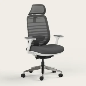 3ba47d7d-9983-4e59-8569-ee727b93dc36 - ERGO OFFICE & HOME CHAIRS