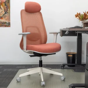 Desky Regal Mesh Office Chair